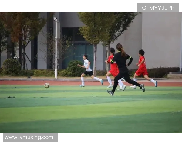 探索123足球的魅力与激情，带你领略足球世界的无限可能与精彩瞬间